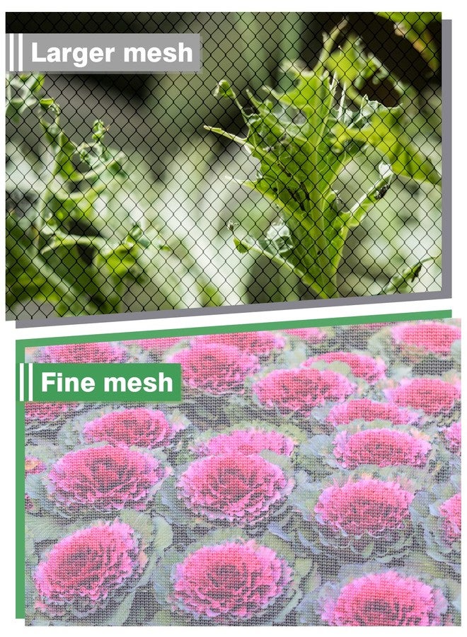 MADHOLLY Upgraded Garden Netting - 3.3 × 3.3 × 1.65 FT Plant Covers Net for Square Raised Garden Bed, Ultra Fine Garden Mesh Netting Protection from Bird Pest Barrier Net Row Cover for Plant Fruit Vegetable - Image 3